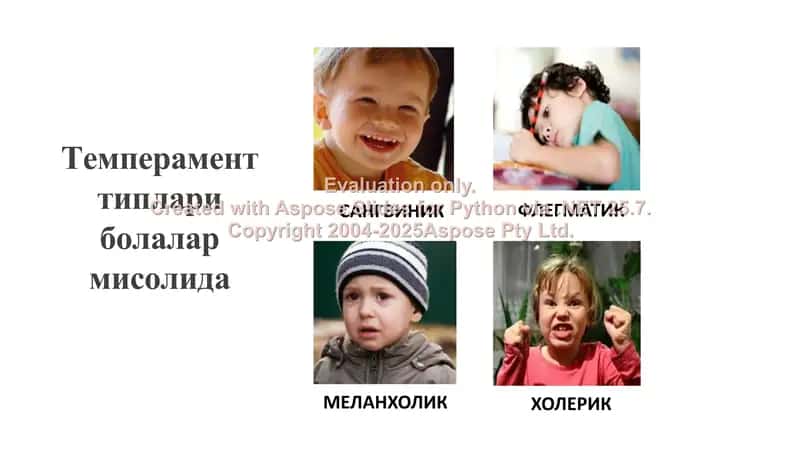 Темперамент ва шахс типлари М.4.2. 3
