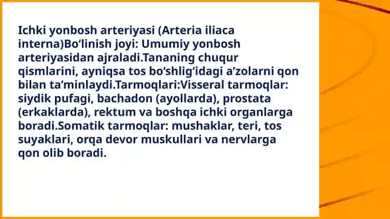 Umumiyyon bosh arteriyasi 3