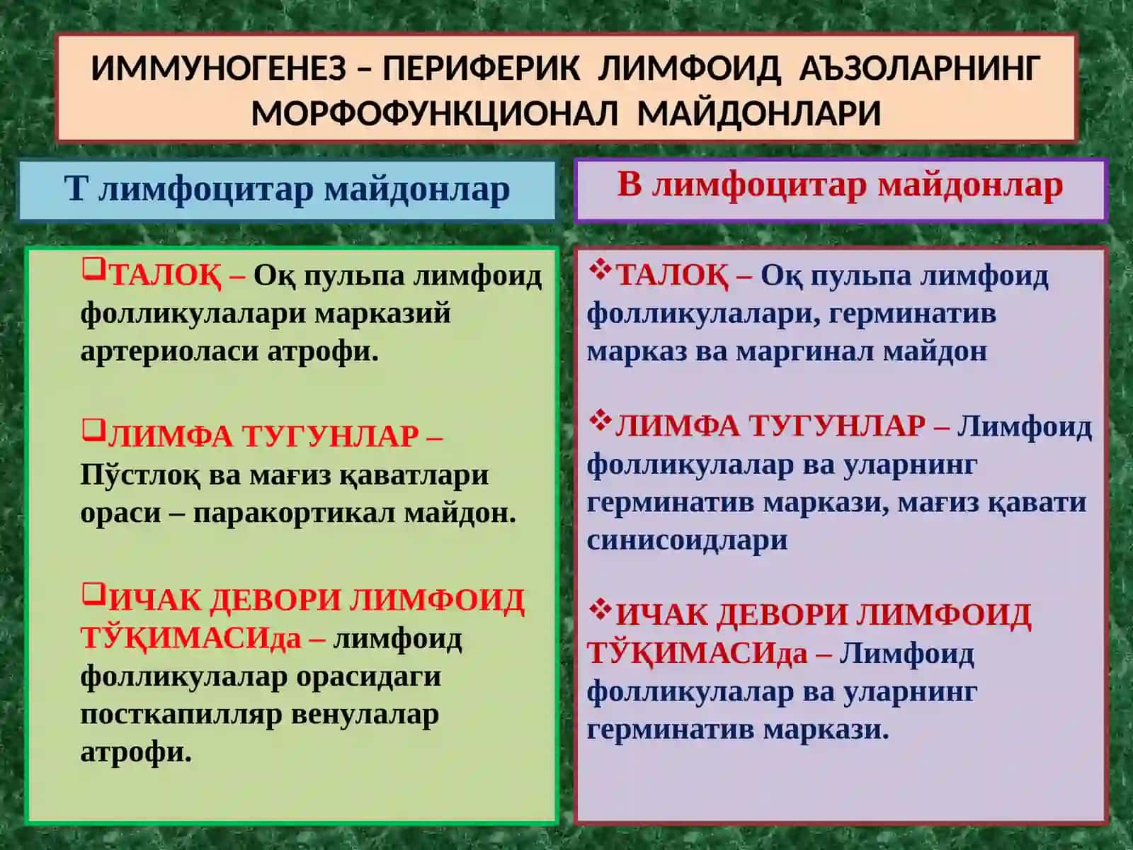 ИММУНОПАТОЛОГИК ЖАРАЁНЛАР 3