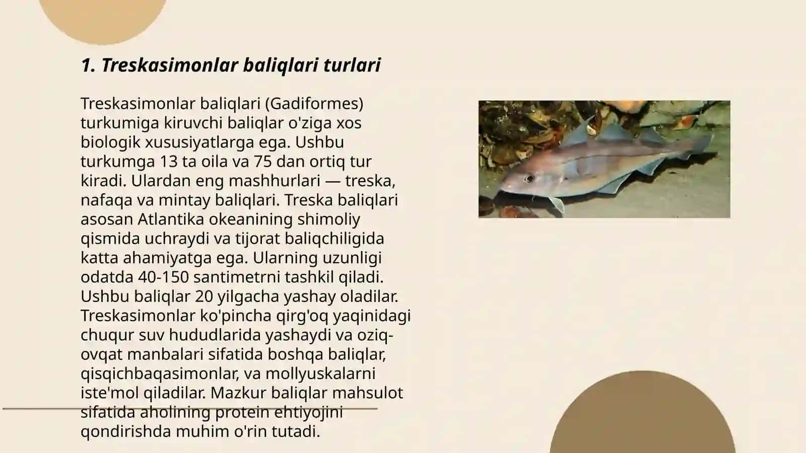 Treskasimonlar turkumi.Nalim,navaga,sayka,piksha tarqalishi 3