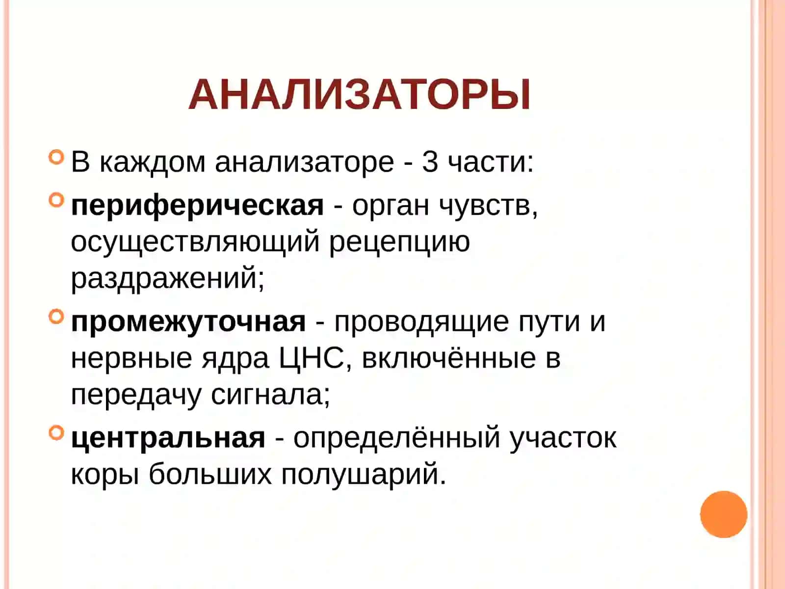 ОРГАН ЗРЕНИЯ 3