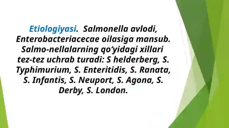 Salmonellyoz etiologiyasi, patogenezi va davolash 3