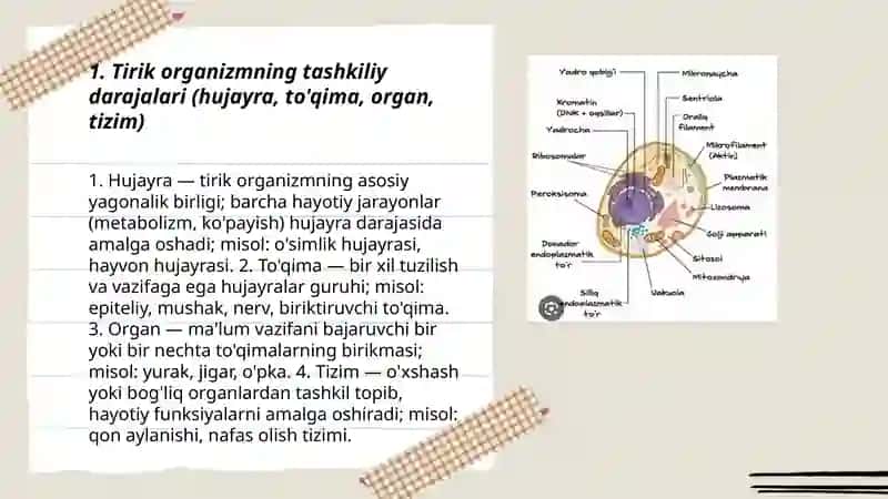 Tirik organizm yaxlit sistema 3