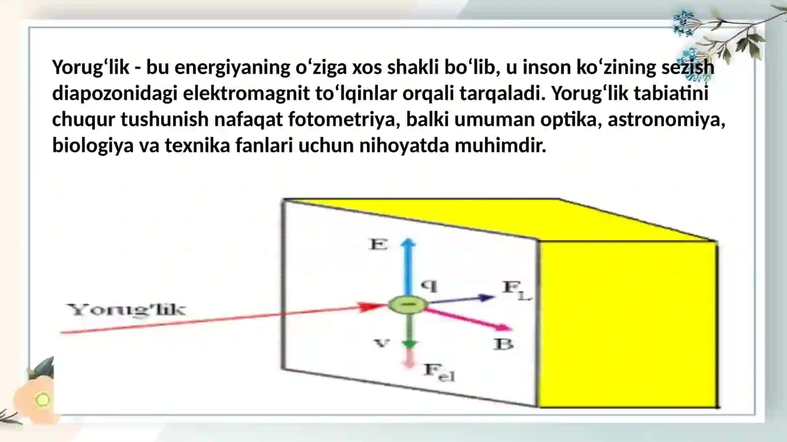 Fotametrikkattaliklar 3