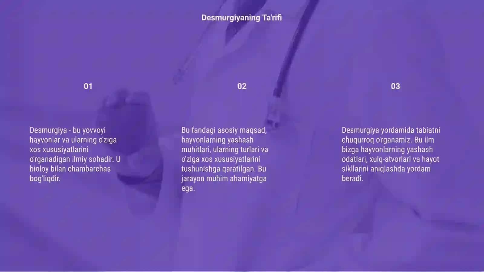 Desmurgiya 3