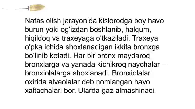 Nafas olish tizimi 3