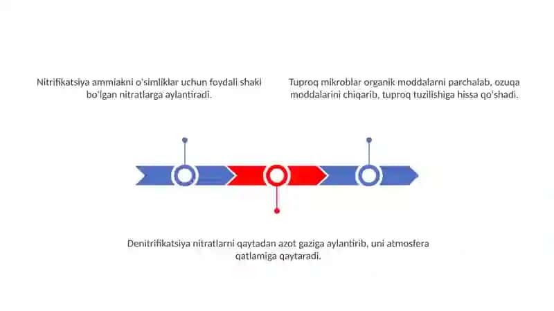 Tuproq Mikrobiologiyasi 3