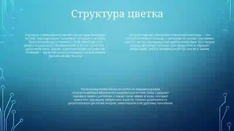 Оплодотворение Цветковых Растений 3