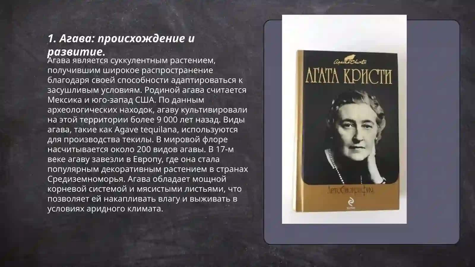Агава 3