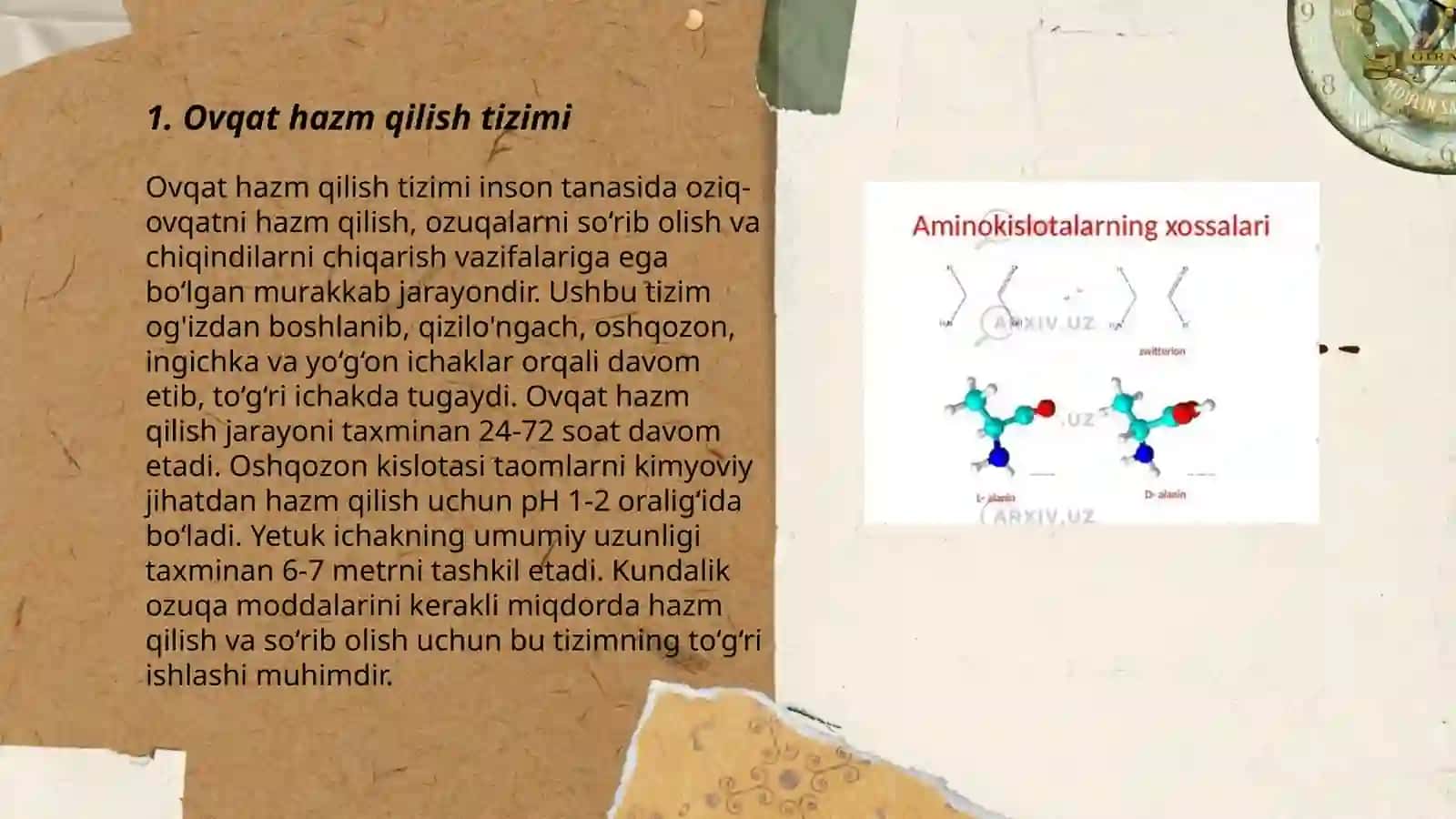 Oqsillarning hazm bòlishi 3
