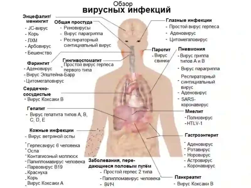 Вирусные заболевания кожи 3
