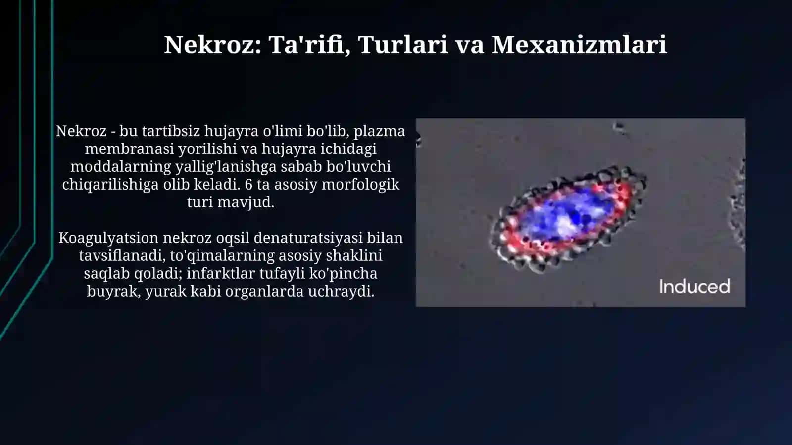 Nekroz: Ta'rifi, Turlari va Mexanizmlari 3