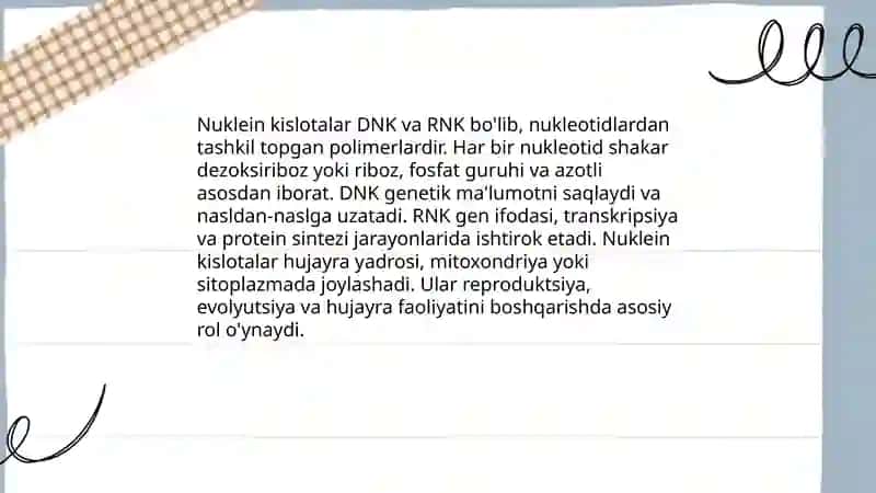 Nukleinlar 3