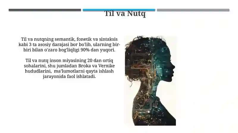 Inson axborotini qayta ishlash tizimi 3