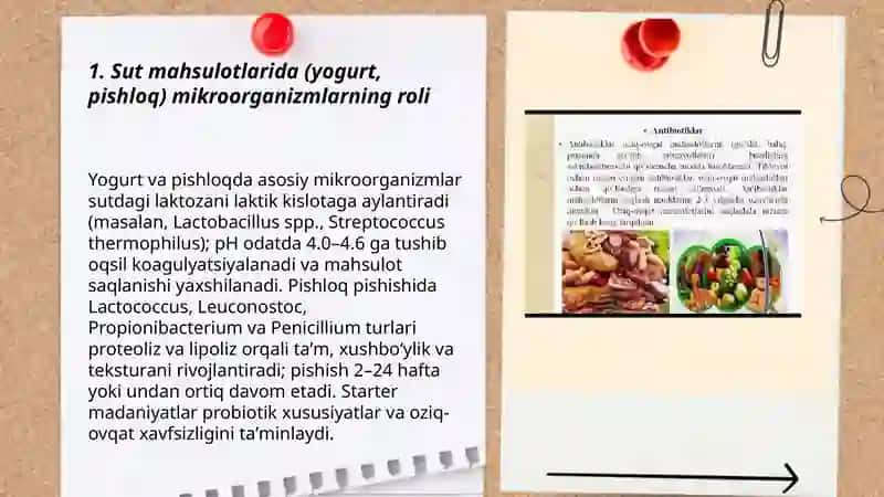 Mikroorganizmlarni oziq-ovqat sanoatida qoʻlanilishi 3