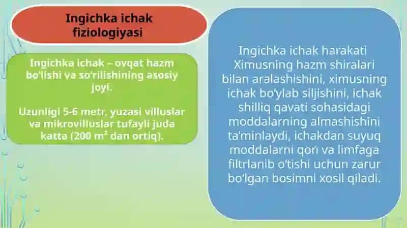 Ingichka va yo'g'on ichakda ovqat hazm bo'lishi 3