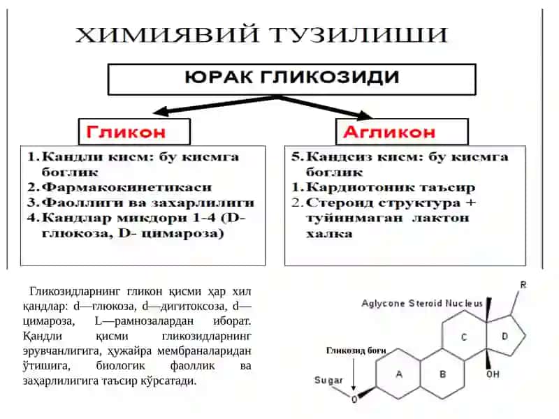 Юрак гликозидлари 3