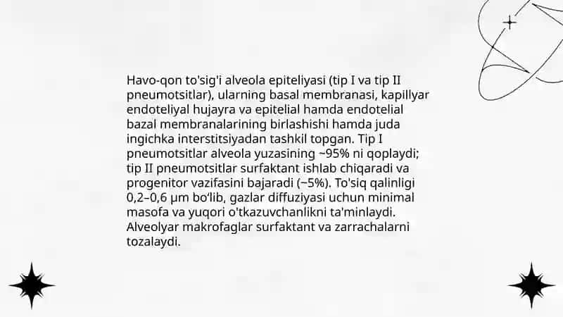 Havo-qon to'sig'ining tuzilishi, vazifalari va patologiyasi 3