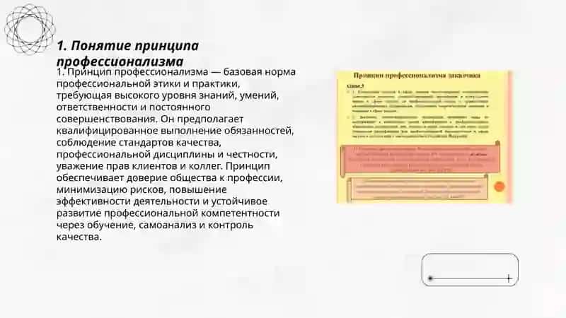 Принцип профессионализма 3