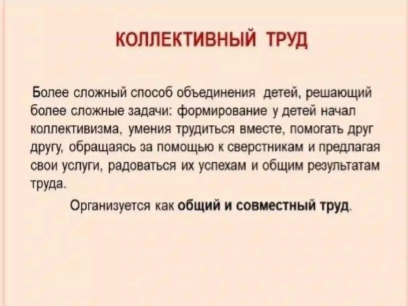 Формы организации труда детей: поручения 3