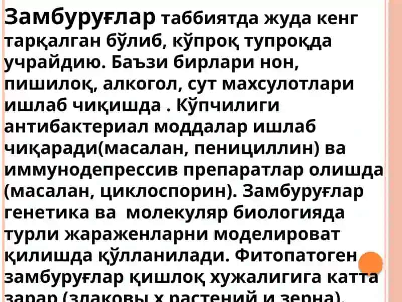 Замбуруғлар 3