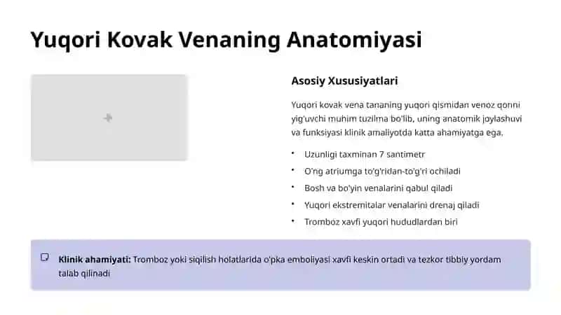 Yuqori va Pastki Kovak Venalar: Anatomiyasi va Klinik Ahamiyati 3