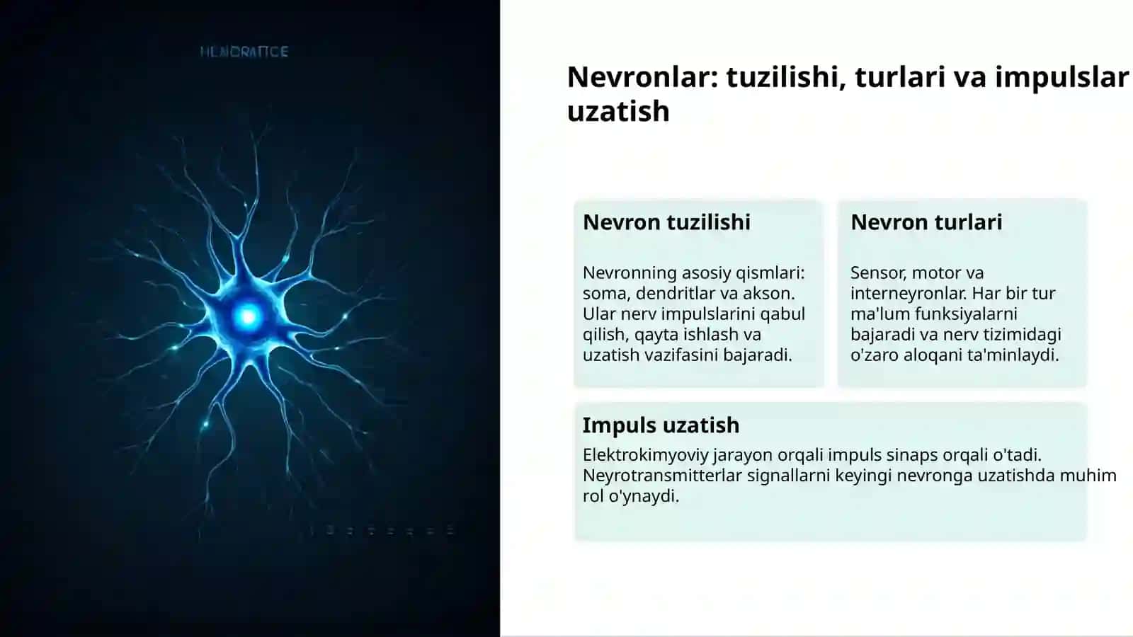 Oliy nerv faoliyati: asosiy tushunchalar 3