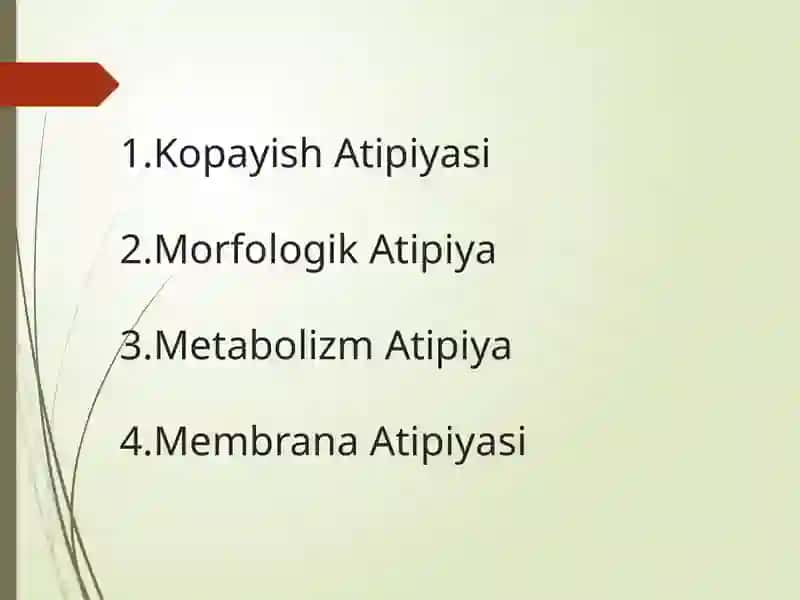 Kopayish Atipiyasi 3