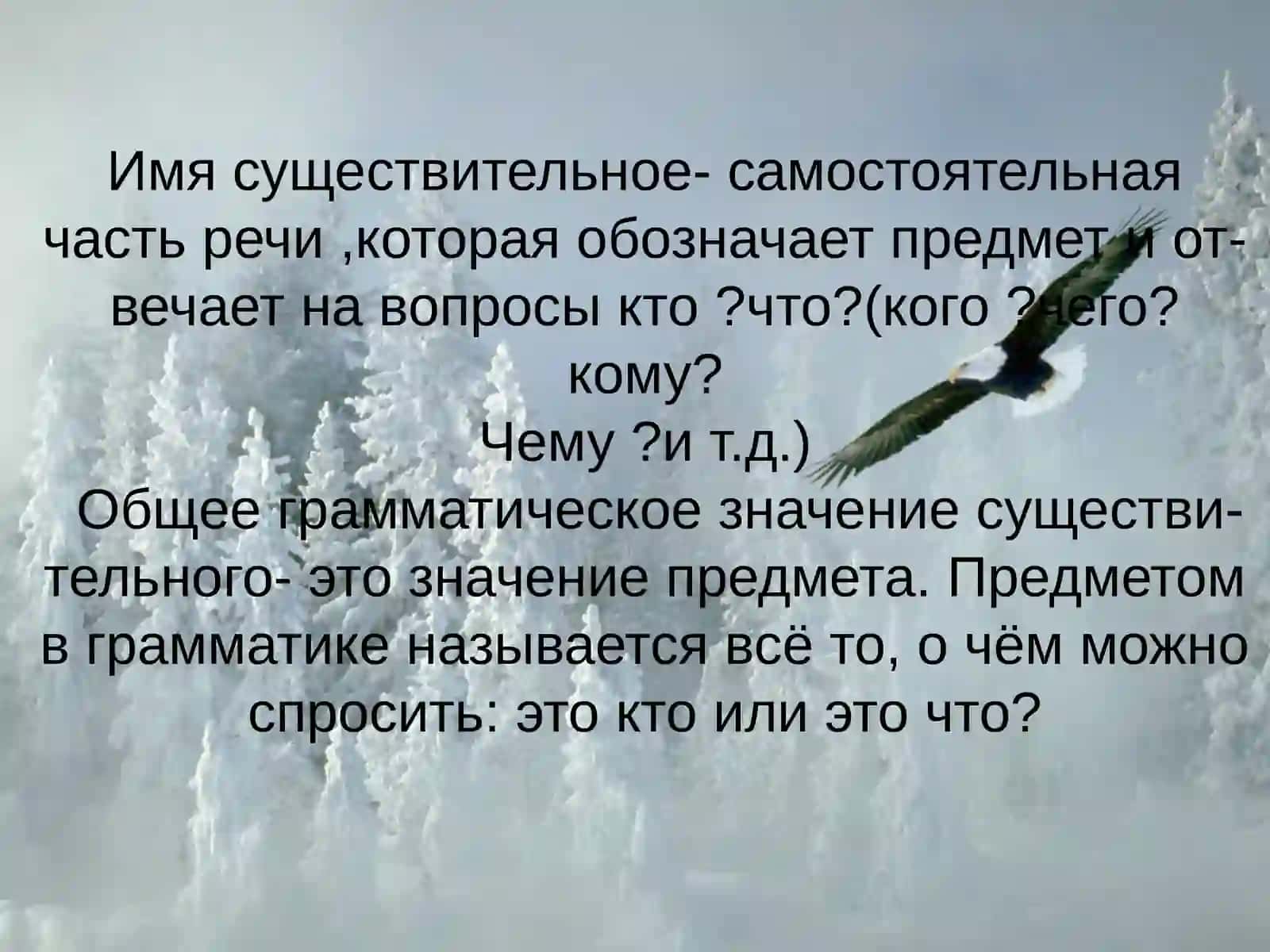Имя существительное 3