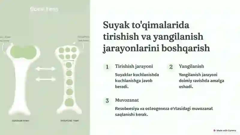 O'sish omillari 3