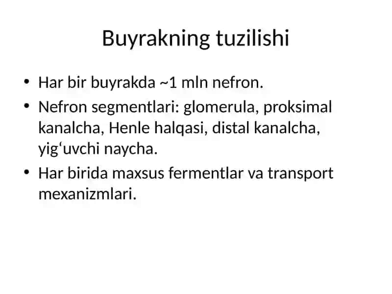 Siydik hosil bo‘lish mexanizmi 3