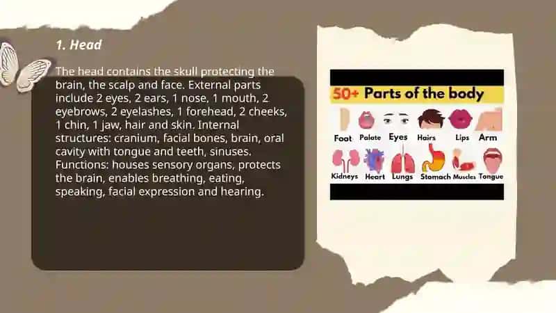 Parts of body 3