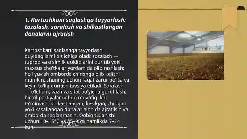 Kartoshka saqlash texnologiyasi 3
