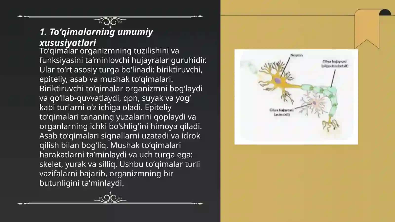 Toʻqimalar tuzilishi 3
