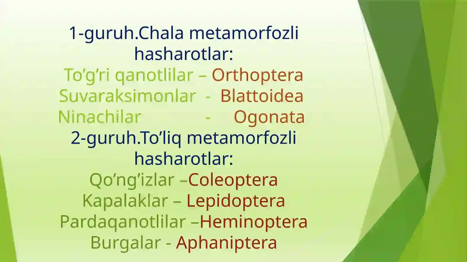 Parazit hasharotlar 3