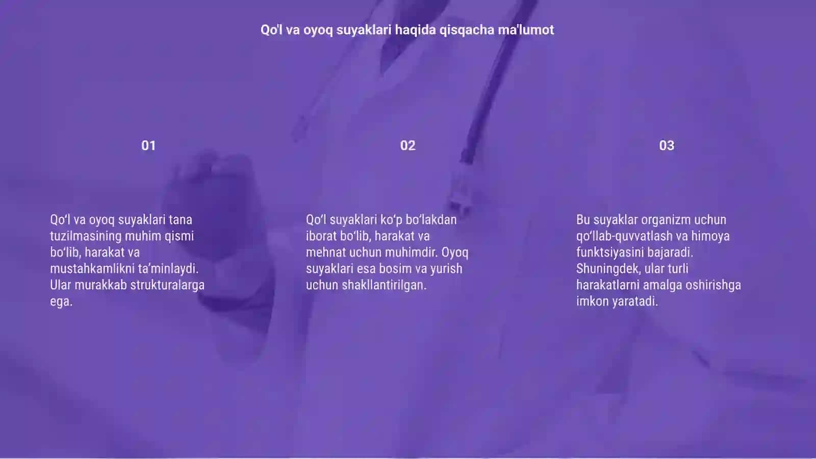 Qo'l va oyoq suyaklari 3