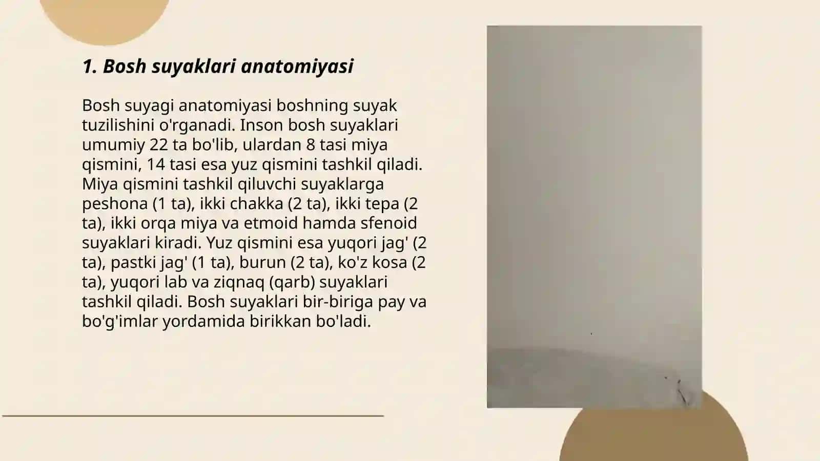 Bosh miya anatomiyasi 3