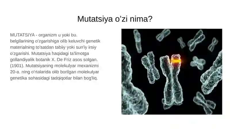 Mutatsiya Zararlimi? 3