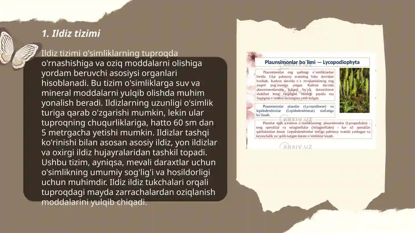 O'simliklar morfalogiyasini o'rganish 3