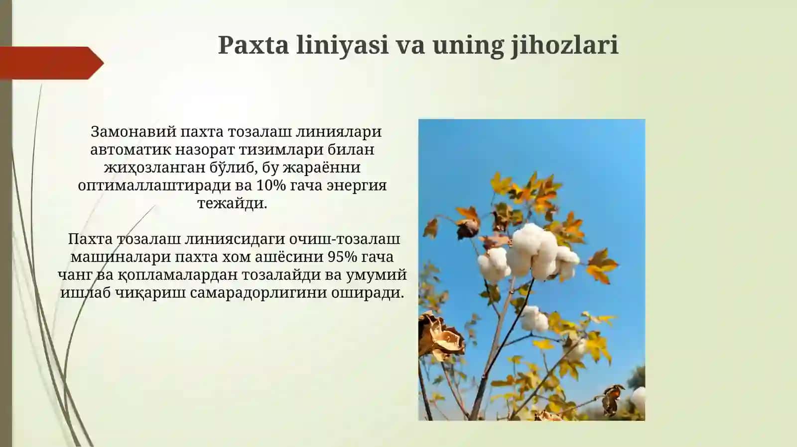 Paxta momig'ini tozalash jarayoni 3