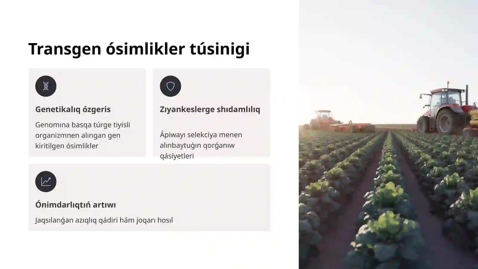Transgen ósimlikler 3