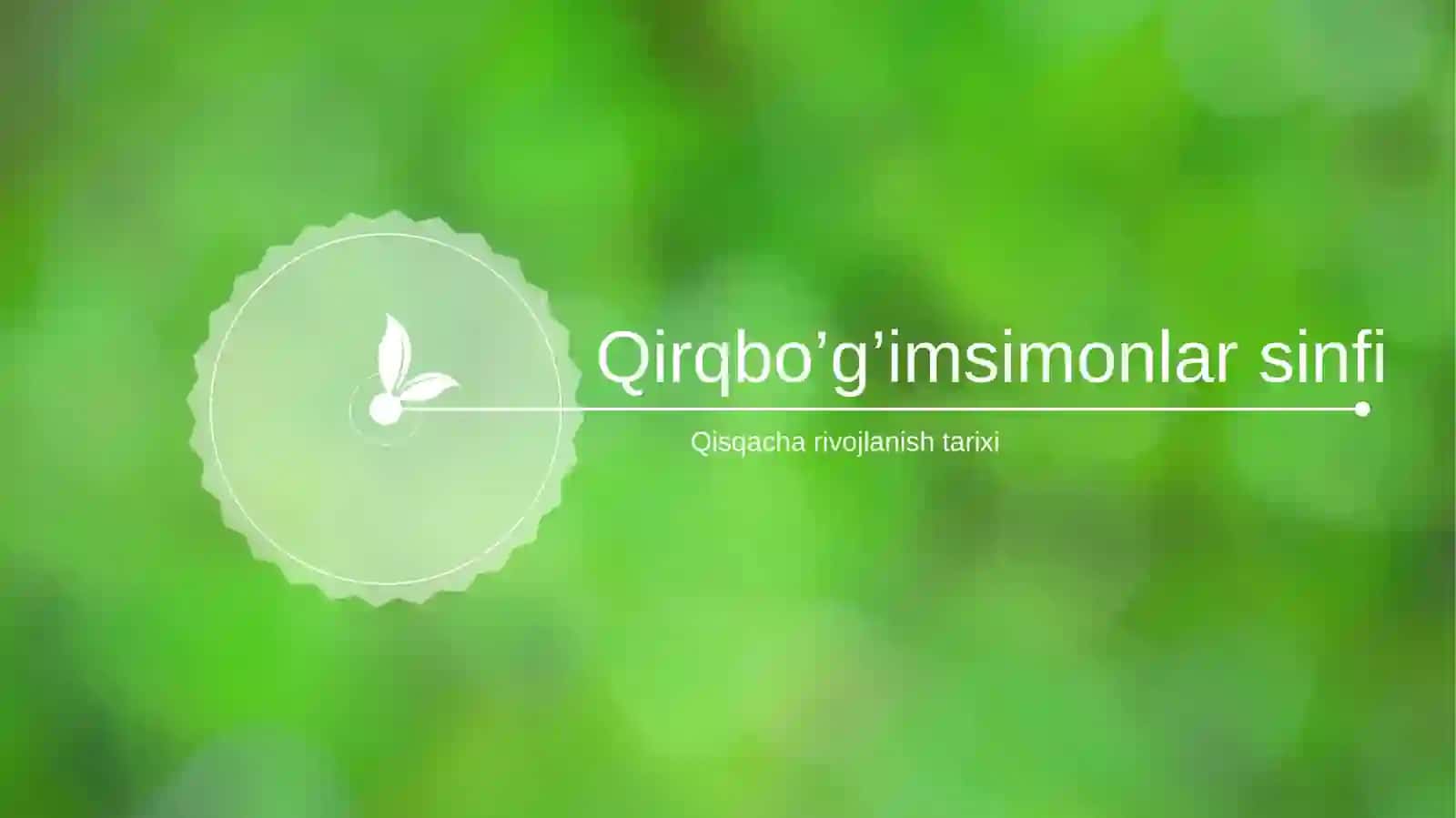 Qirqbo’g’imsimonlarsinfi 3
