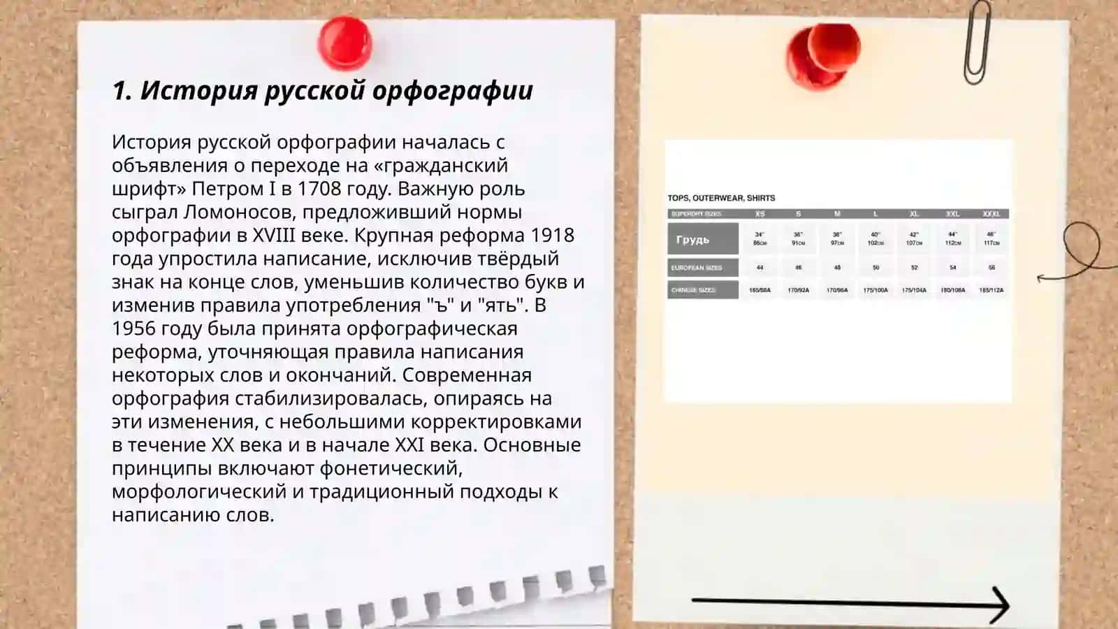 Принципы русской орфографии 3
