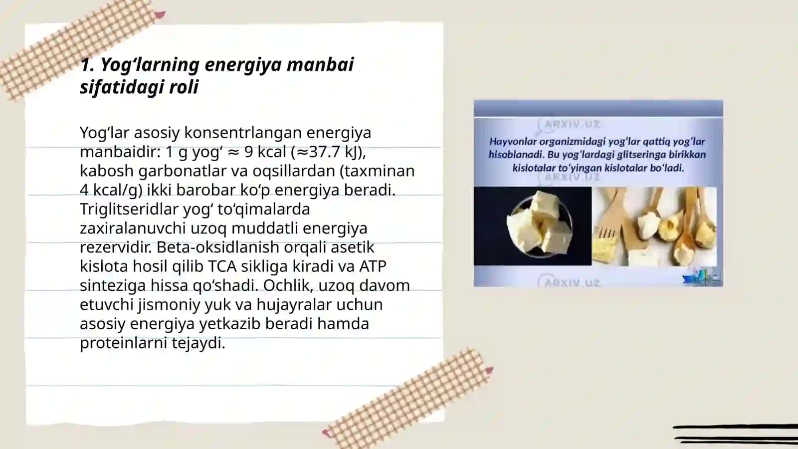 Yog‘larning biologik ahamiyati 3