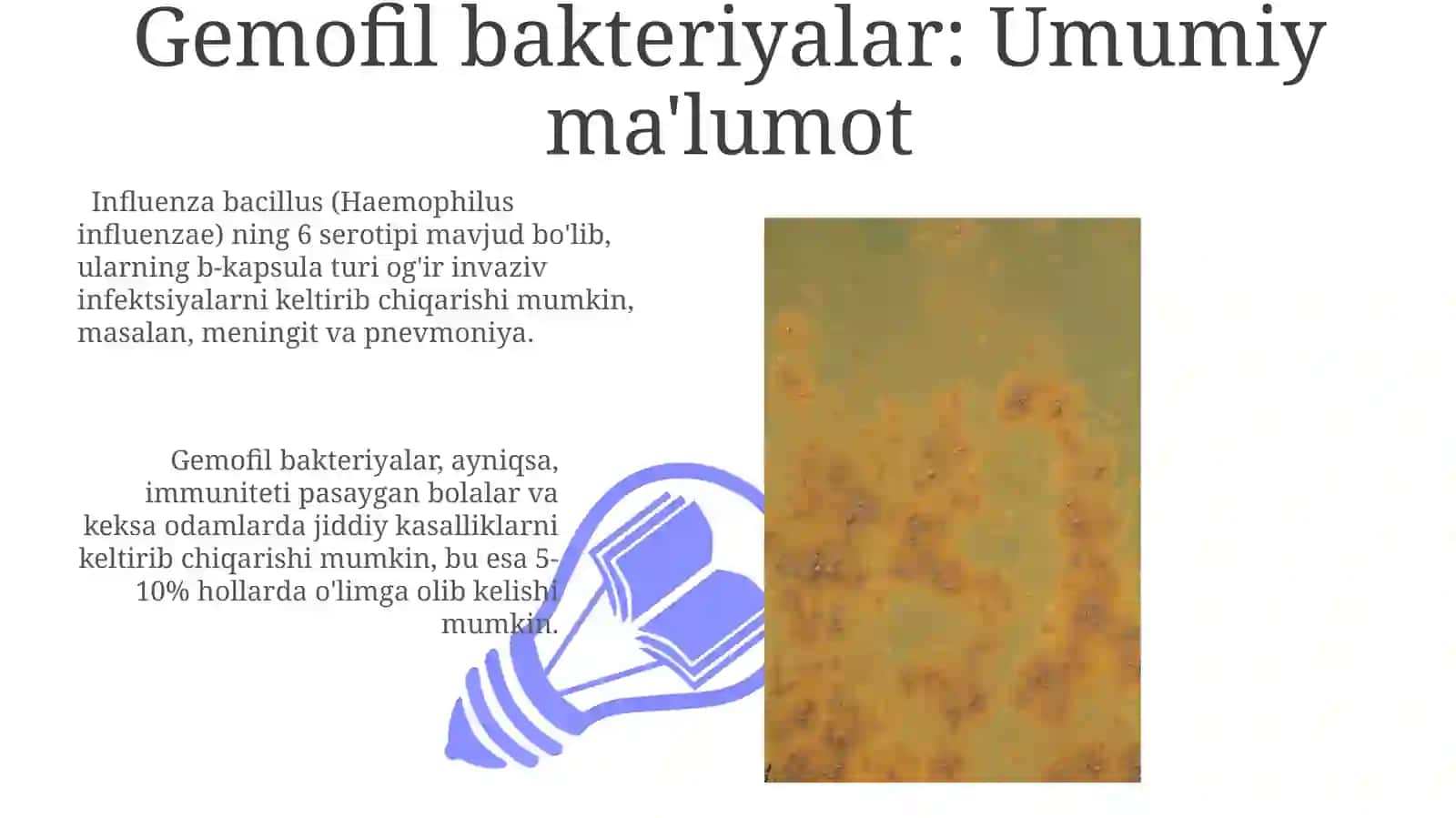 Gemofil bakteriyalari (inflyuensa tayoqchasi, yumshoq shankr qo‘zg‘atuvchisi) 3