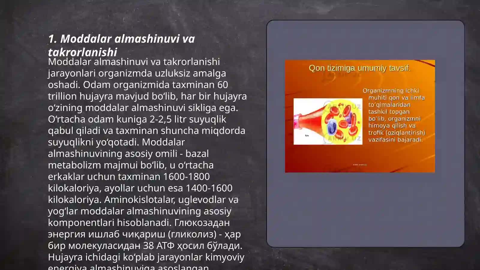 Tirik organizimlarning kimyoviy tarkibi va ularning doimiyligi 3