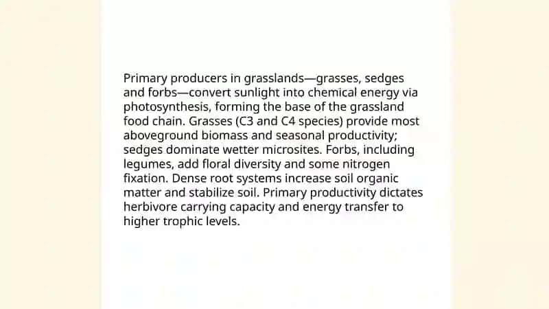 Grassland food chain 3