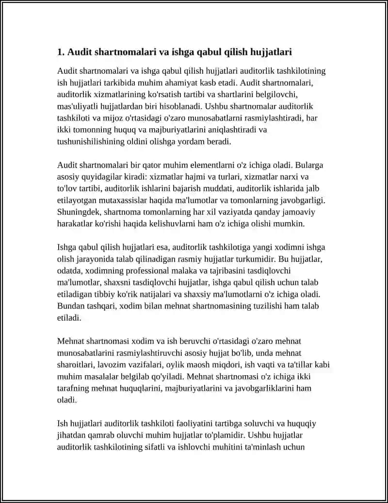 AUDITORLIK TASHKILOTINING ISH HUJJATLARI 3