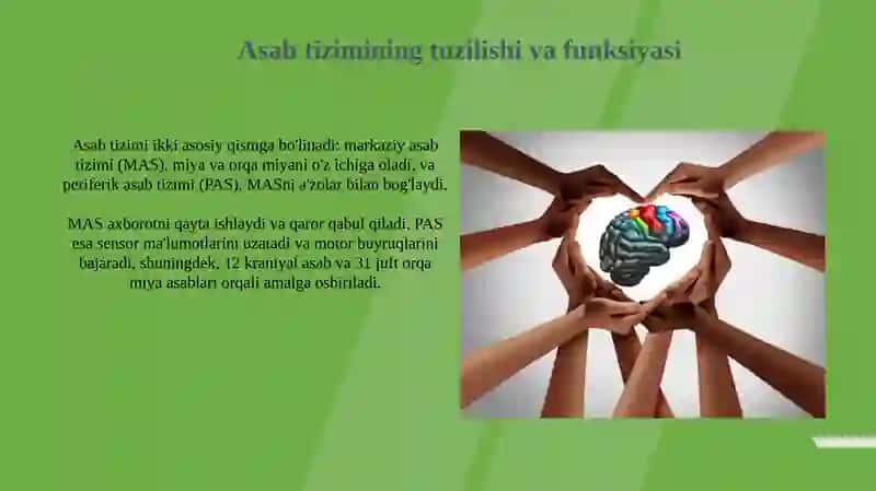 Xulq-atvorning psixofiziologikasi 3
