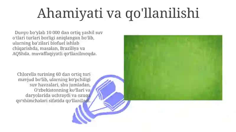 Yashil suv oʻtlari bo'limlari 3